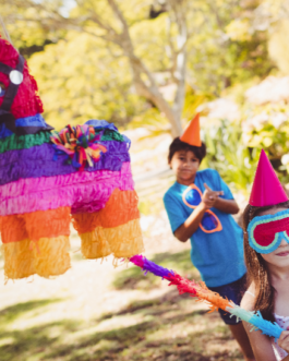 Llama Pinata