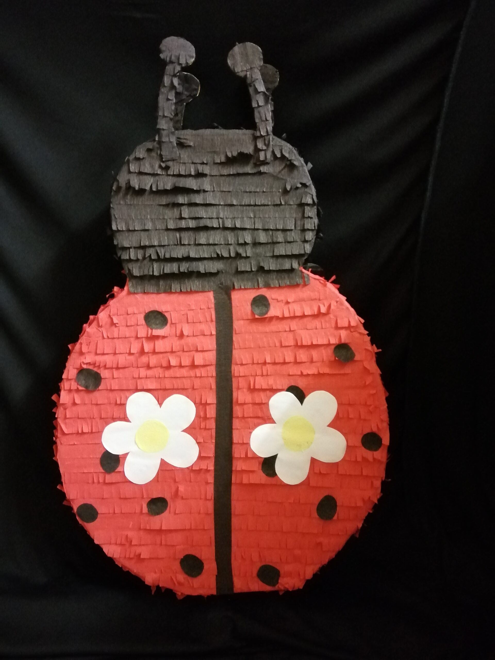 Variatas Ladybug Pinata