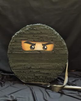 Ninja Pinata